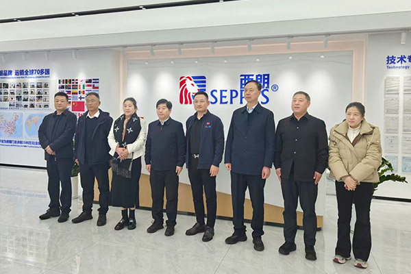 襄城县领导赴苏州考察西朗门业，共话政企协同与专精特新高质量发展